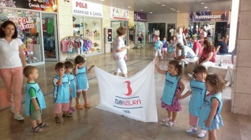 Miniklerin Duyarlı Davranışları