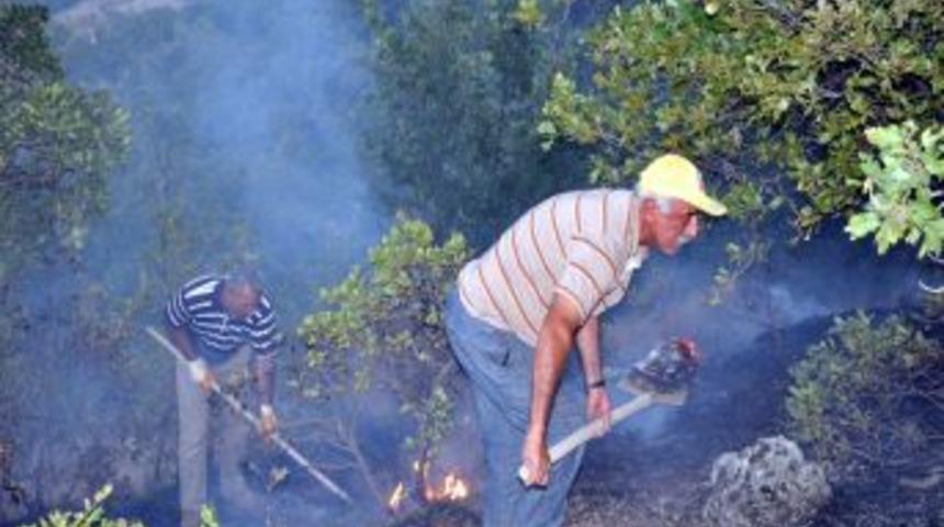 Tunceli'de Orman Yangını
