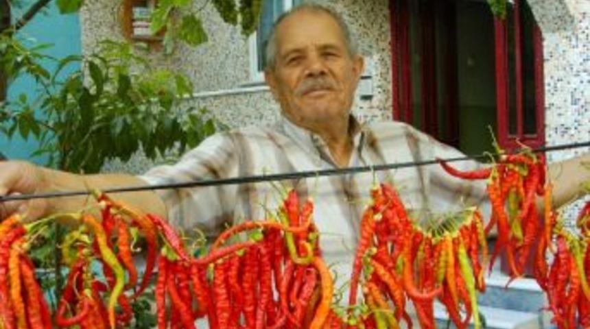 Hayrabolu’da Kışlık Yiyecek Hazırlıkları Erken Başladı