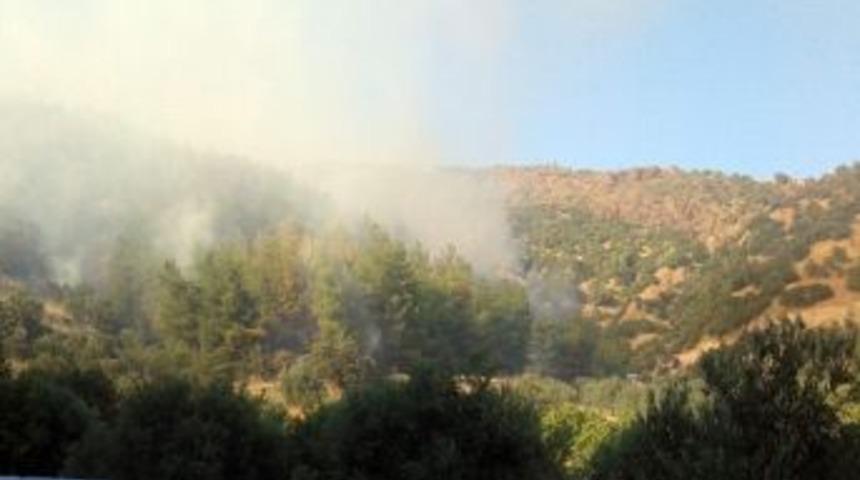 Kuyucak&rsquo;ta Orman Yangını