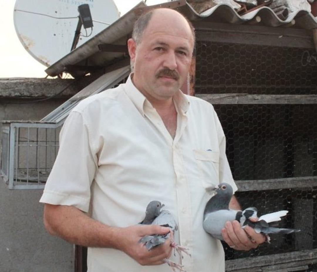 (&ouml;zel Haber) Posta G&uuml;vercinleri G&uuml;vercinleri Şaşırtıyor