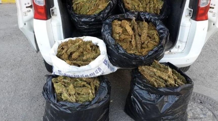 Batman&rsquo;da 51 Kilo Esrar Ele Ge&ccedil;irildi
