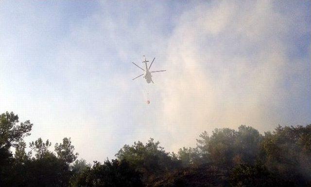 Kuyucak Ve Bozdoğan'daki Orman Yangını Söndürüldü