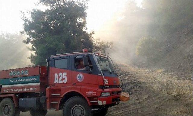 Kuyucak Ve Bozdoğan'daki Orman Yangını Söndürüldü