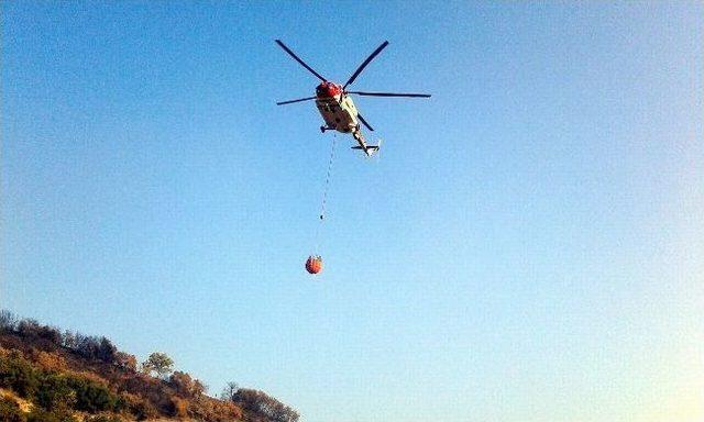 Kuyucak Ve Bozdoğan'daki Orman Yangını Söndürüldü