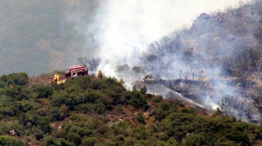 Yalova'da Makilik Ve Zeytinlik Yangını
