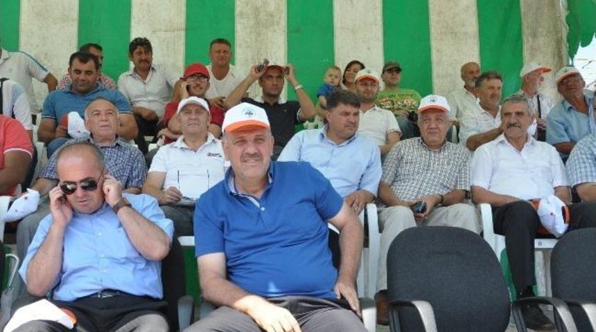 Kozlu&rsquo;da Karakucak G&uuml;reş Şenliği D&uuml;zenlendi.