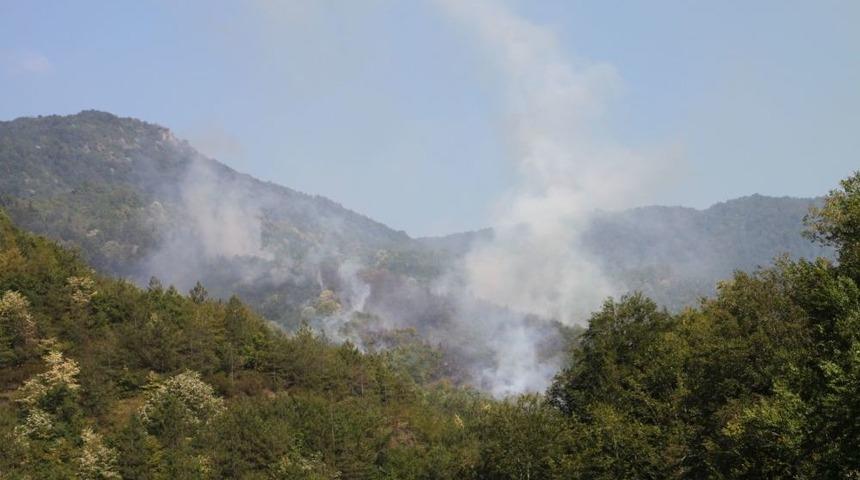 Ereğli'deki Orman Yangını 10 Saat Sonra Kontrol Altına Alındı