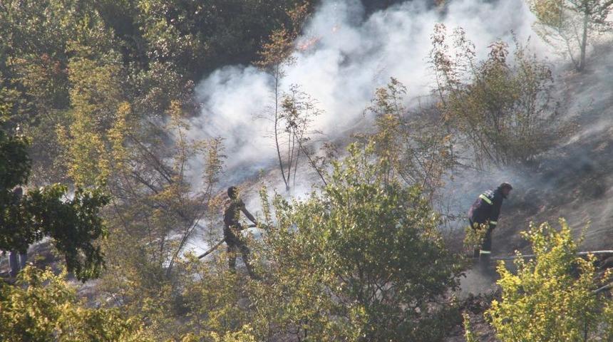 Ereğli'deki Yangın 3 Saatte Kontrol Altına Alındı