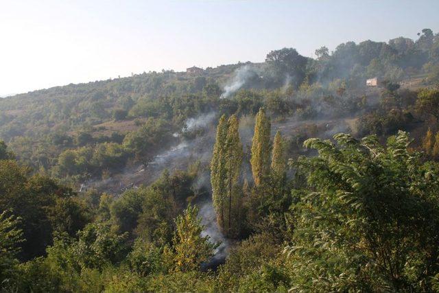 Ereğli'deki Yangın 3 Saatte Kontrol Altına Alındı