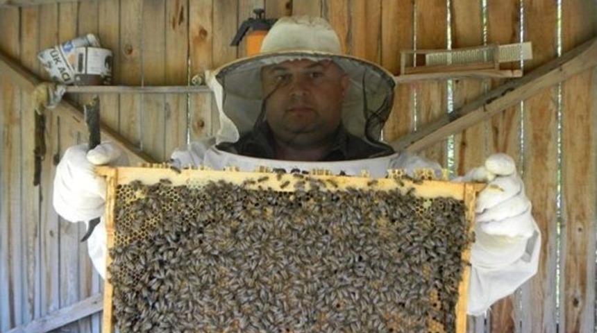 Abana&rsquo;da Y&ouml;resel Bal Sezonu Başladı