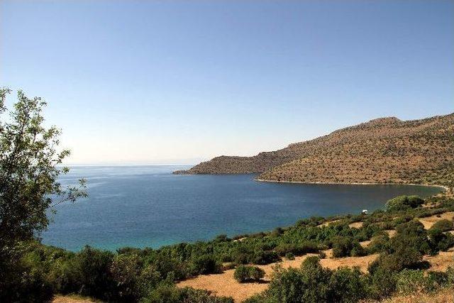 Van Gölü’nün Bakir Koyları Keşfediliyor