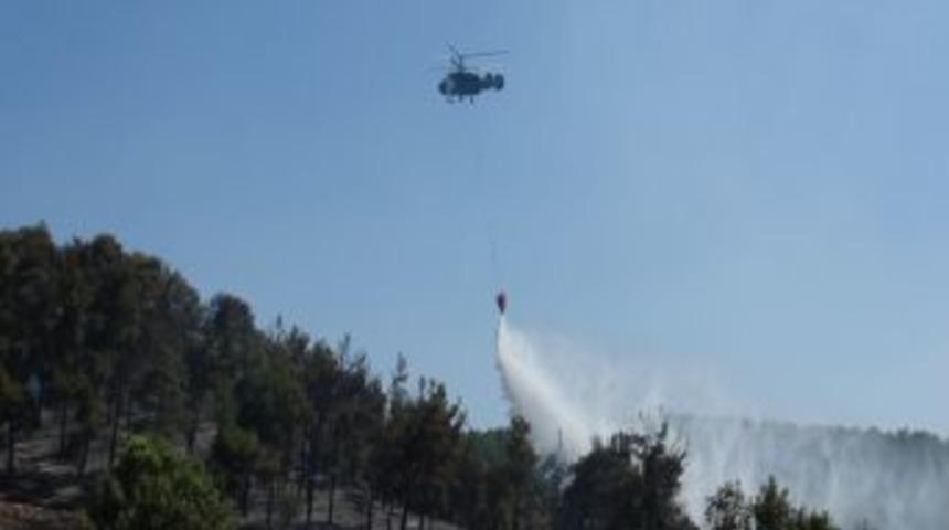 Uşak'taki Orman Yangını Kısmen Kontrol Altına Alındı
