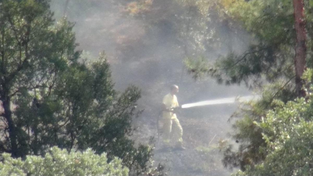Uşak&rsquo;taki Orman Yangını Kontrol Altın Alındı