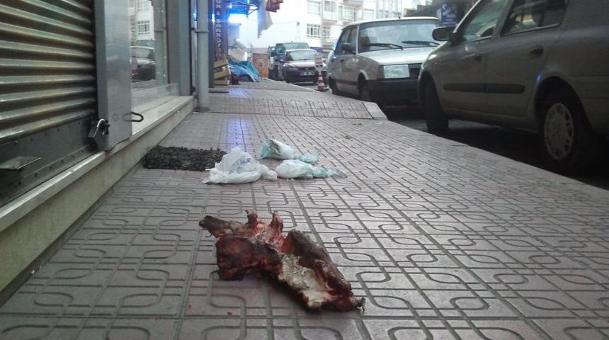 Gelişi G&uuml;zel Atılan &Ccedil;&ouml;pler, &Ccedil;evre Kirliliğine Davetiye &Ccedil;ıkartıyor