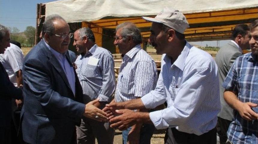 Sungurlu&rsquo;da &Ccedil;ekirdek Festivali