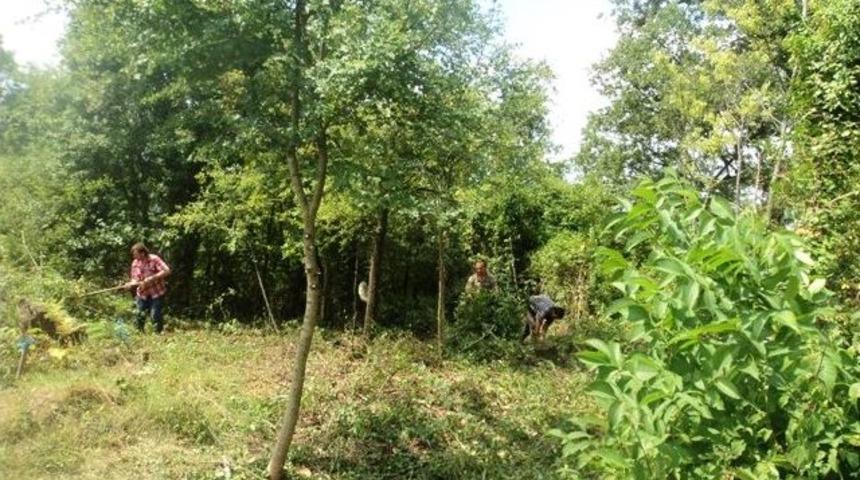 160 Yıllık Tarihi Mezarlık K&ouml;yl&uuml;ler Tarafından Temizlendi