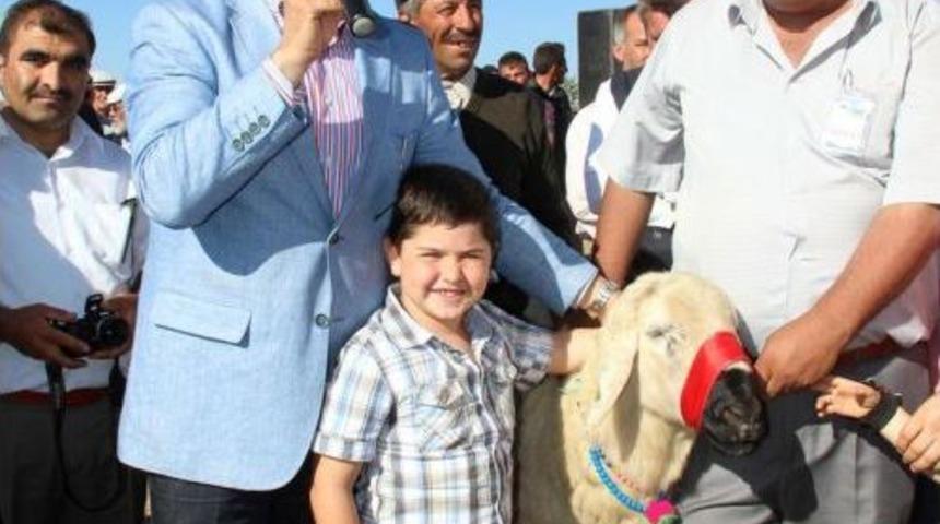 AK Parti Sivas Milletvekili Turan, Suşehri'de