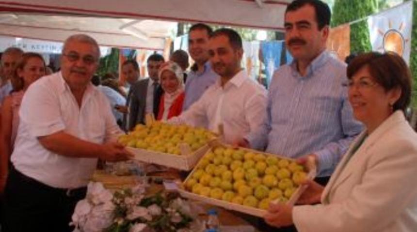 İncit &Uuml;retici Sezona Umutlu Giriyor