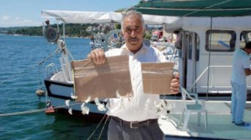 15 Ağustos'ta Sona Erecek Yasak &Ouml;ncesi Palamut &Ccedil;aparileri Sezona Hazırlanıyor