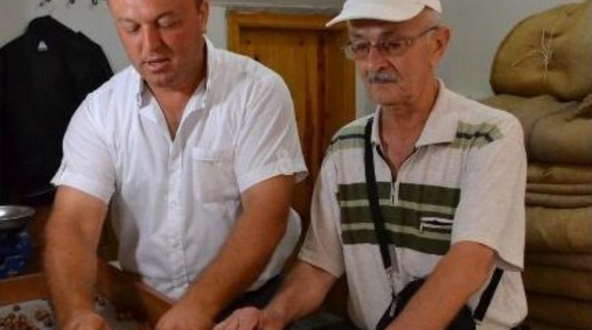 Fındık Pazara İnmeye Başladı