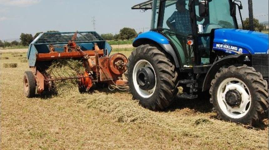 Bayrami&ccedil;'te Ot Festivali