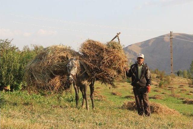 Hakkari İlk Defa Ramazan Bayramı’nı Huzurlu Geçirdi