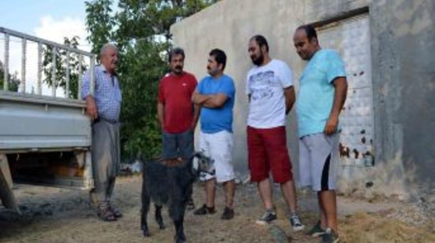 43 yıllık film nihayet bitiyor