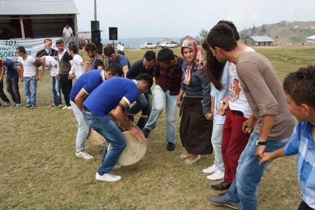 Kardüz'de Geleneksel Yayla Şenliği