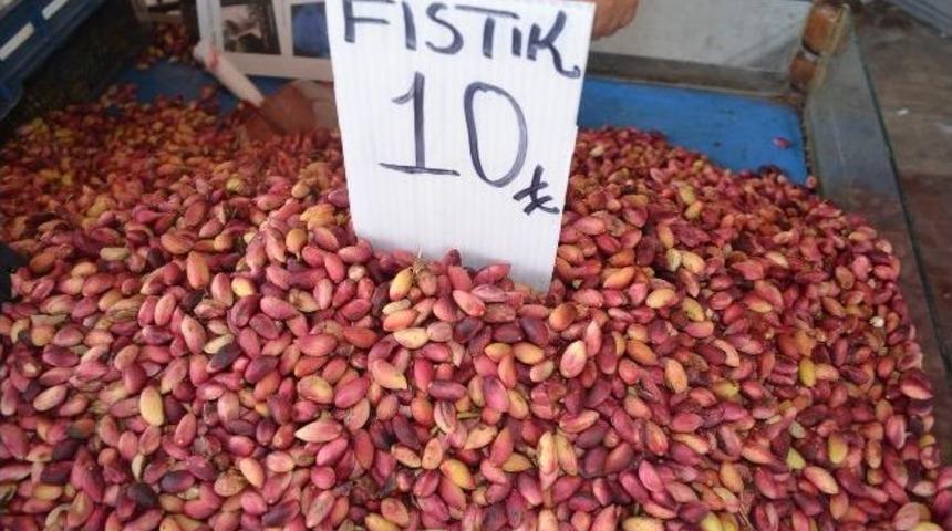 Kırmızı Fıstık G&ouml;r&uuml;c&uuml;ye &Ccedil;ıktı