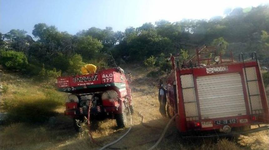 Seydişehir&rsquo;de Ormanlık Alan Yanmaktan Son Anda Kurtuldu