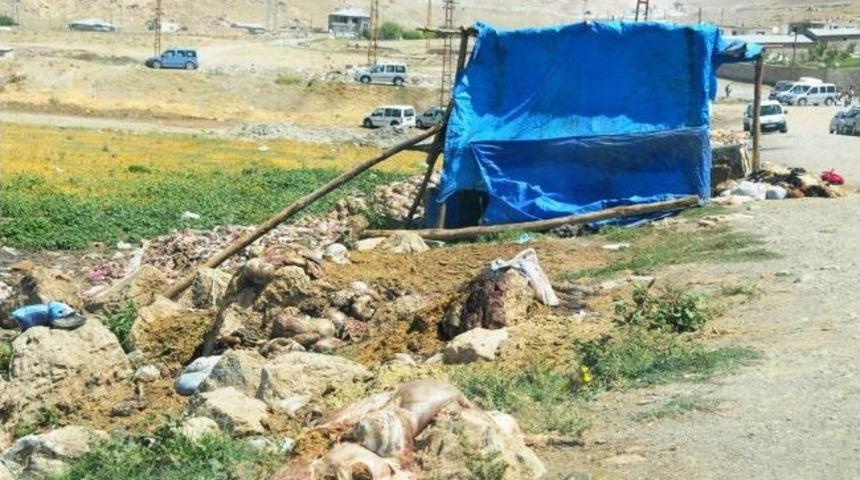 Bu Manzaranın &Ouml;n&uuml;ne Ge&ccedil;ilemiyor