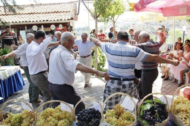 En G&uuml;zel &Uuml;z&uuml;mler Karaburun da Yarıştı 1