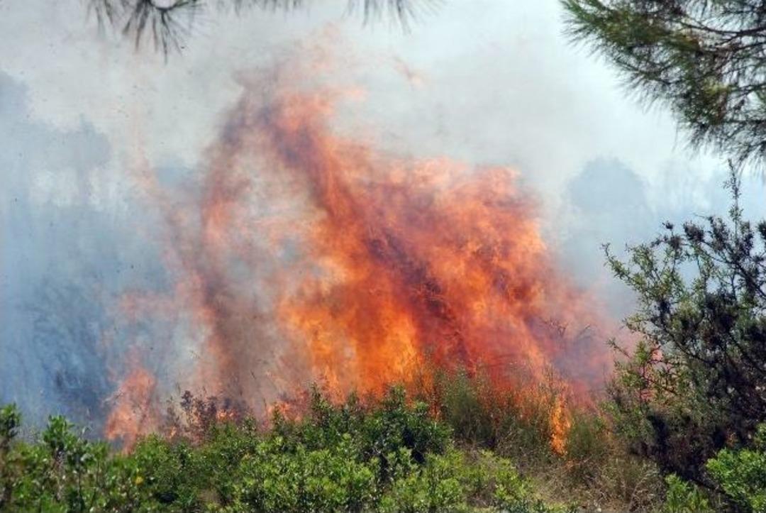 Didim&rsquo;de Yazlık&ccedil;ıları Korkutan Yangın