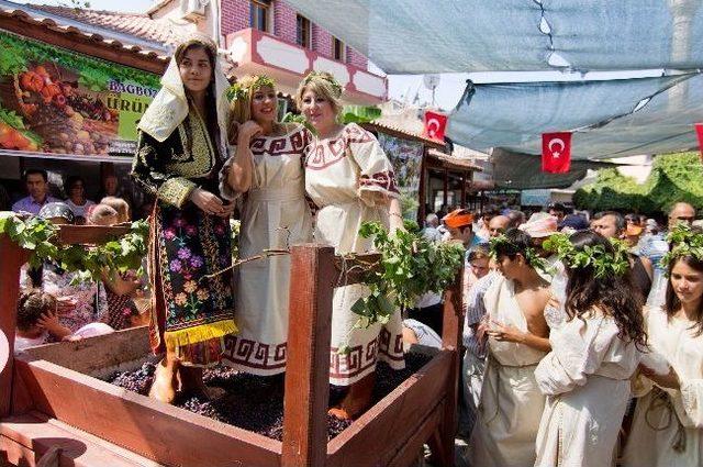 Urla'da Geleneksel Bağbozumu Şenlikleri Başlıyor