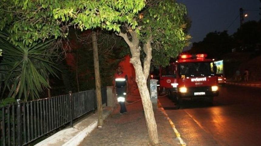 Ayvalık&rsquo;ta Yangın Endişesi