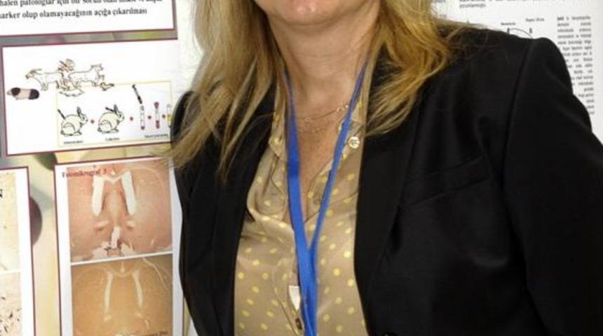 UÜ'de Mühendislik Fakültesi Ve Mimarlık Fakültesi Ayrıldı