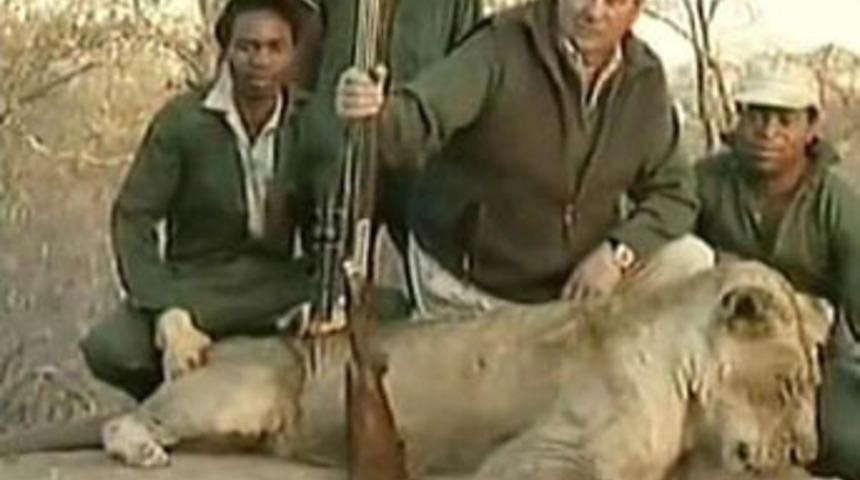 Aslan avı hayvanseverleri kızdırdı