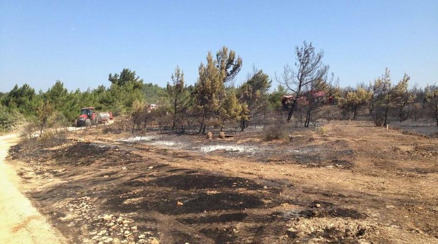 Urla&rsquo;daki Orman Yangını S&ouml;nd&uuml;r&uuml;ld&uuml;