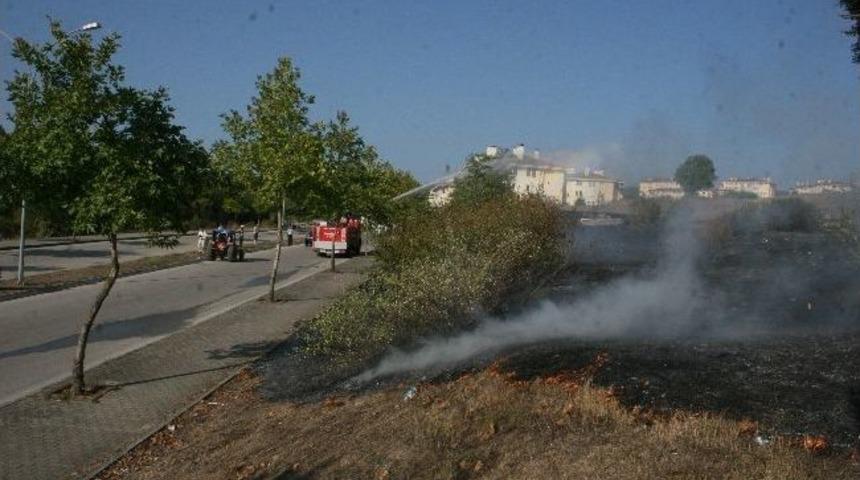 D&uuml;zce&rsquo;de Bitki &Ouml;rt&uuml;s&uuml; Yangını