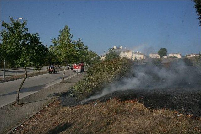 Düzce’de Bitki Örtüsü Yangını