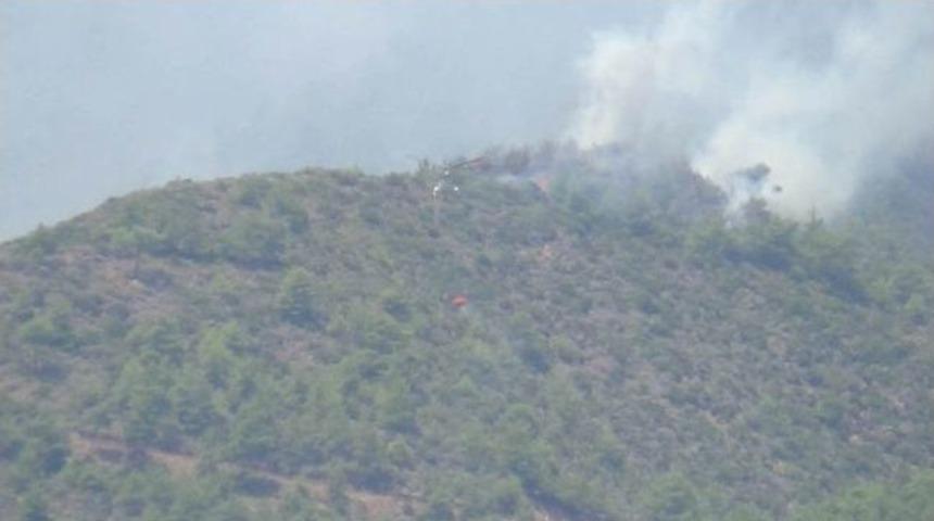 Hatay&rsquo;da Orman Yangını