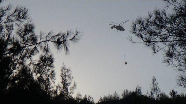 Hatay’da Orman Yangını