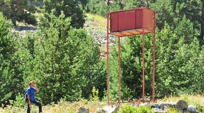 Arıcılardan Ayıya Karşı Kuleli &Ccedil;&ouml;z&uuml;m