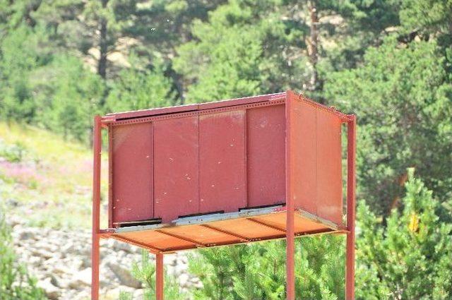 Arıcılardan Ayıya Karşı Kuleli &Ccedil;&ouml;z&uuml;m 1