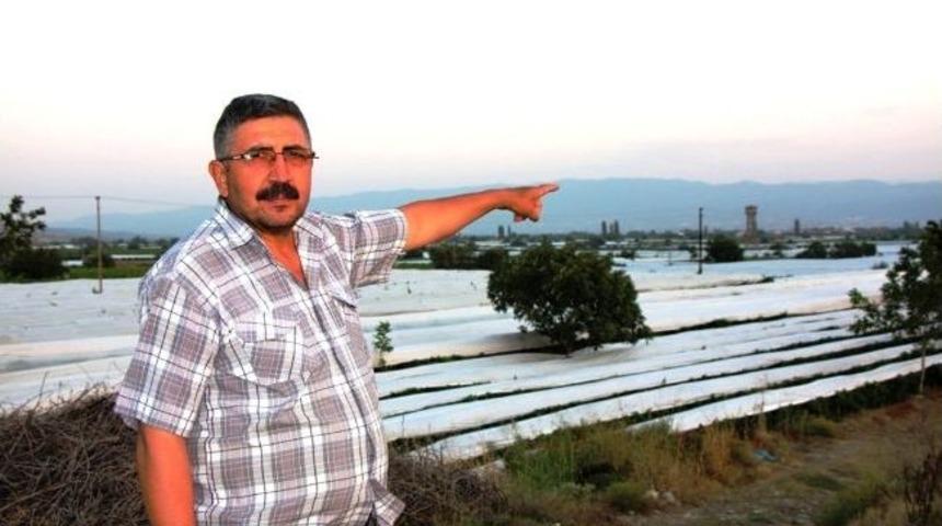 D&uuml;nyaca &Uuml;nl&uuml; &Uuml;z&uuml;m Bağları &Ouml;rt&uuml; İle Korunuyor