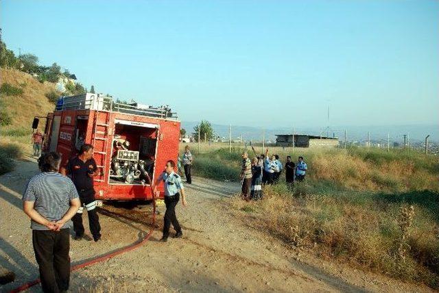 Aydın’da Örtü Yangını Korkuttu