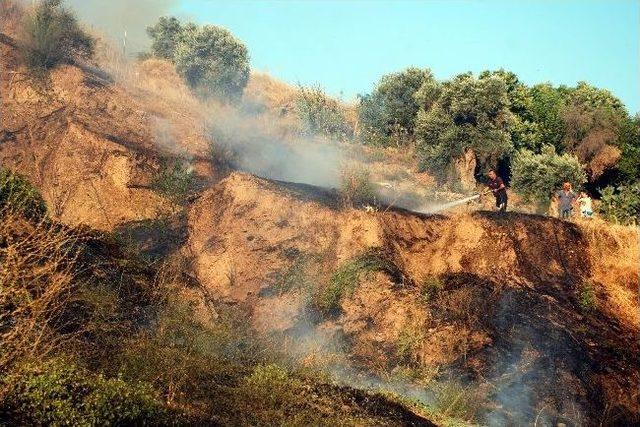 Aydın’da Örtü Yangını Korkuttu