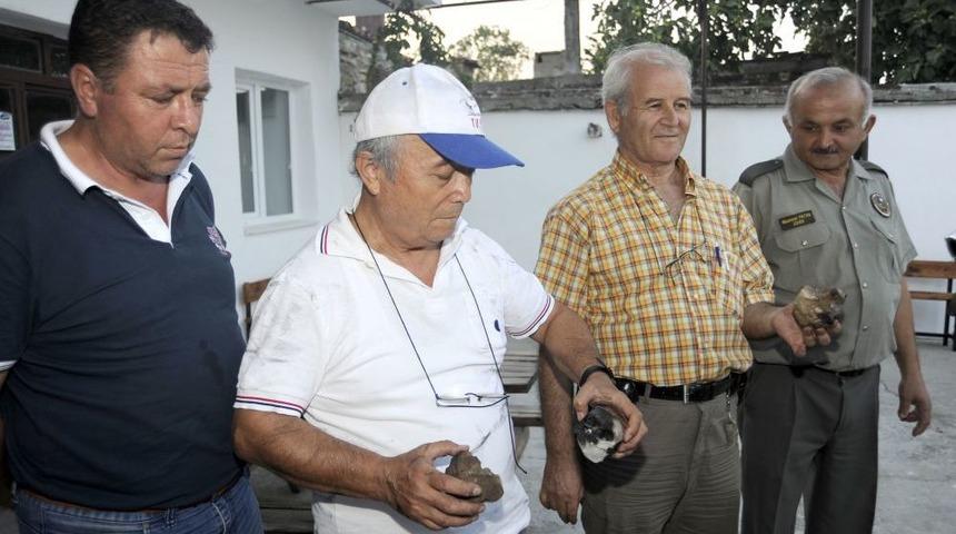 Orman Yangınına Uzaydan Gelen G&ouml;ktaşı Sebep Oldu Iddiası