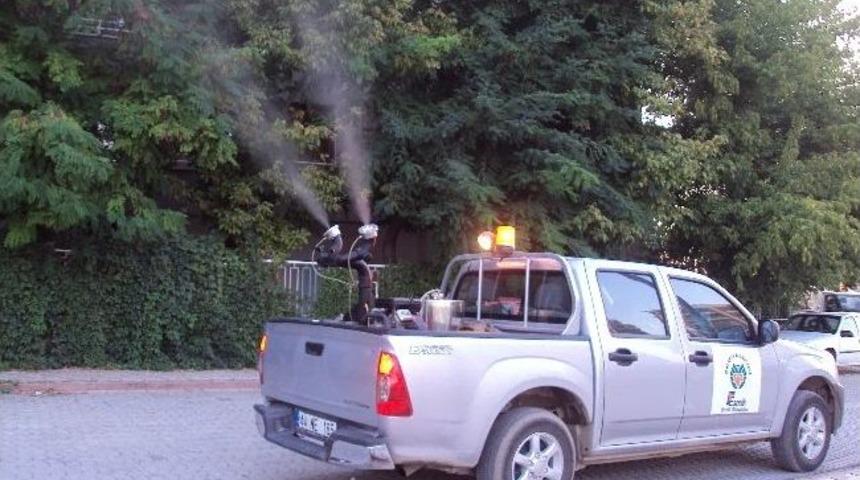 Haşereye Karşı Etkin M&uuml;cadele